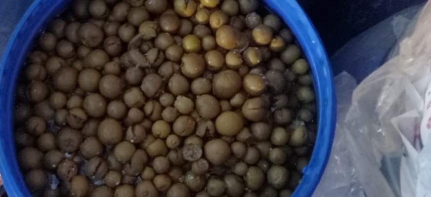 ضبط مصنع مخلل دون ترخيص ومخالف للاشتراطات الصحية