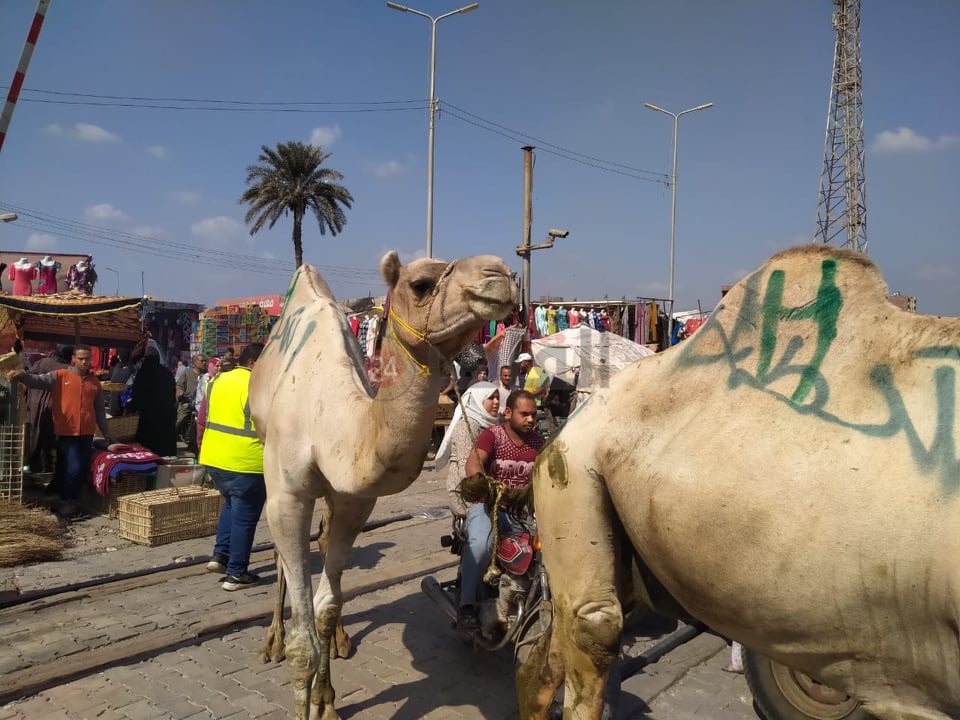 واقعة مزلقان طوخ