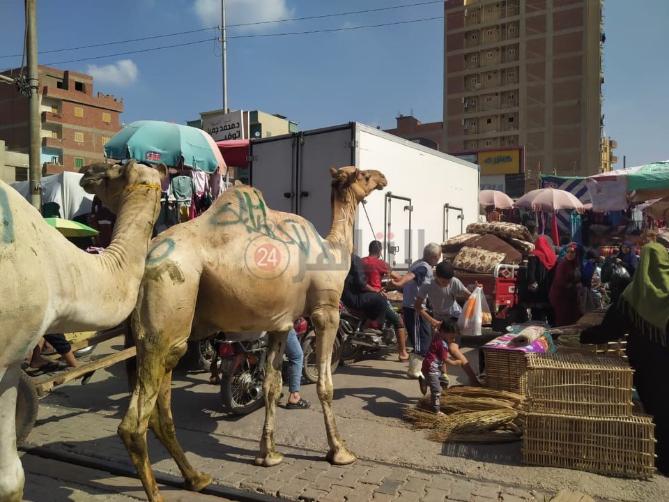 واقعة مزلقان طوخ