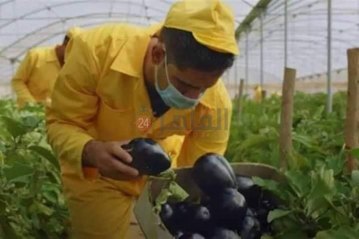 783d6494-938d-48bc-80ae-734effe257b2