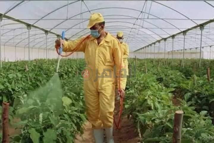 79935510-9629-4e45-b75e-c10846822eff