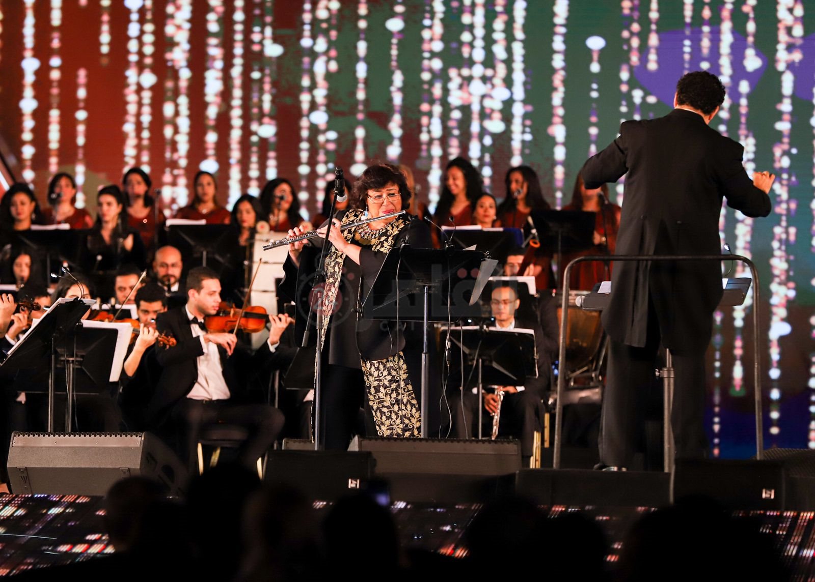 إيناس عبد الدايم (2)