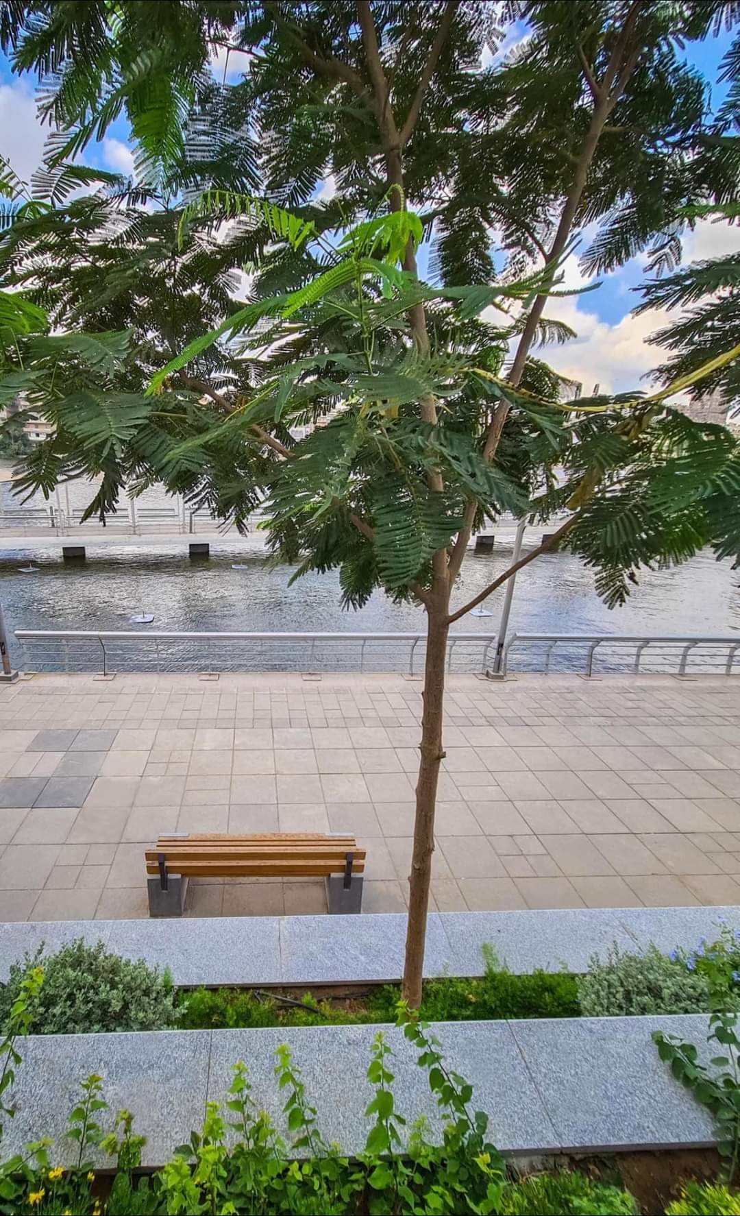 FB_IMG_1635940899344