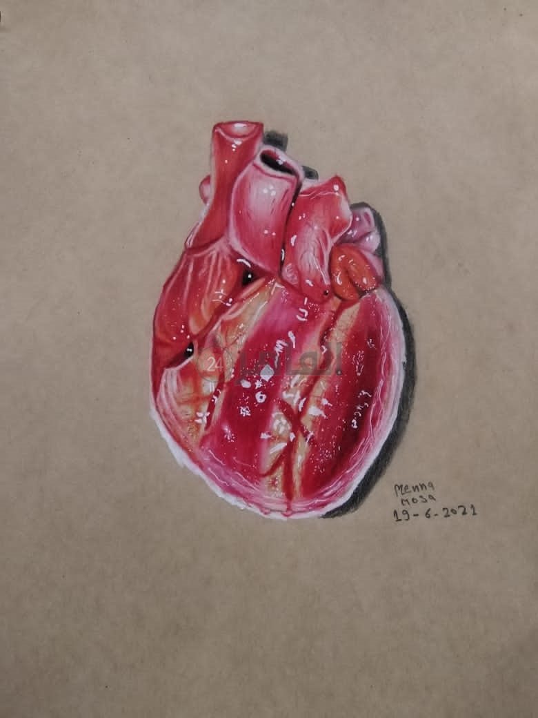 لوحة لـ قلب بشري