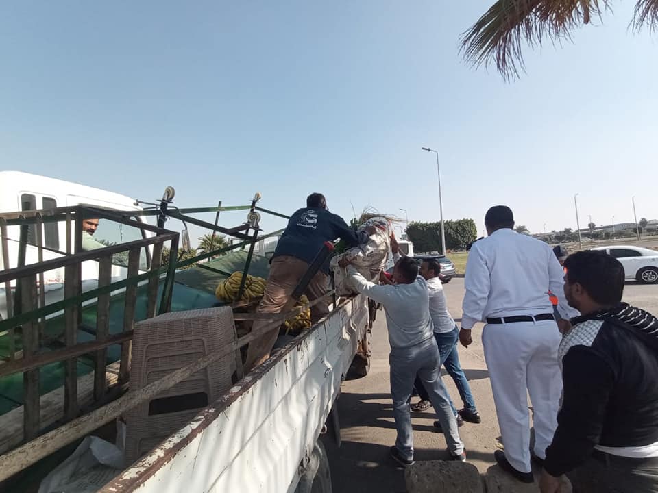 حملة لرفع الإشغالات بالعاشر من رمضان 014