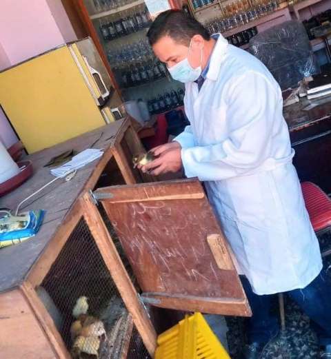 حملة لـ تحصين الطيور بالشرقية ضد الأنفلونزا