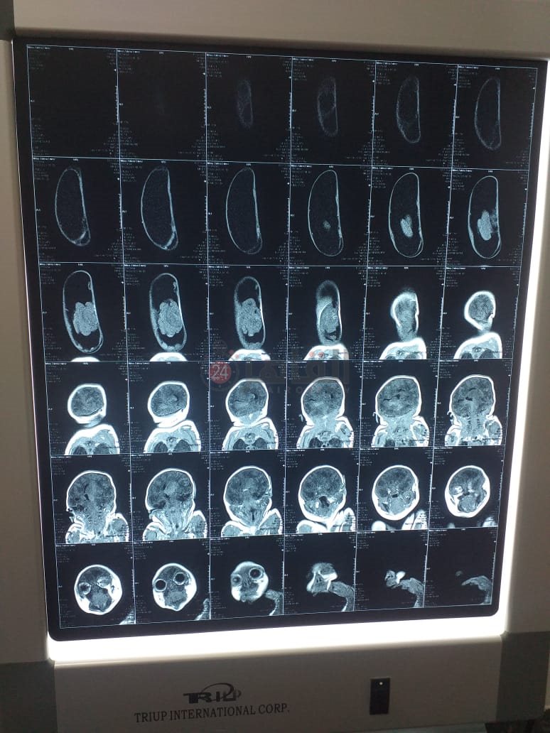 8acf2628-e0bb-4e1f-beb0-493f974fb664