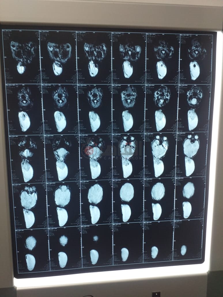 545d7ceb-4654-4842-a12b-d1ce0bb9a093