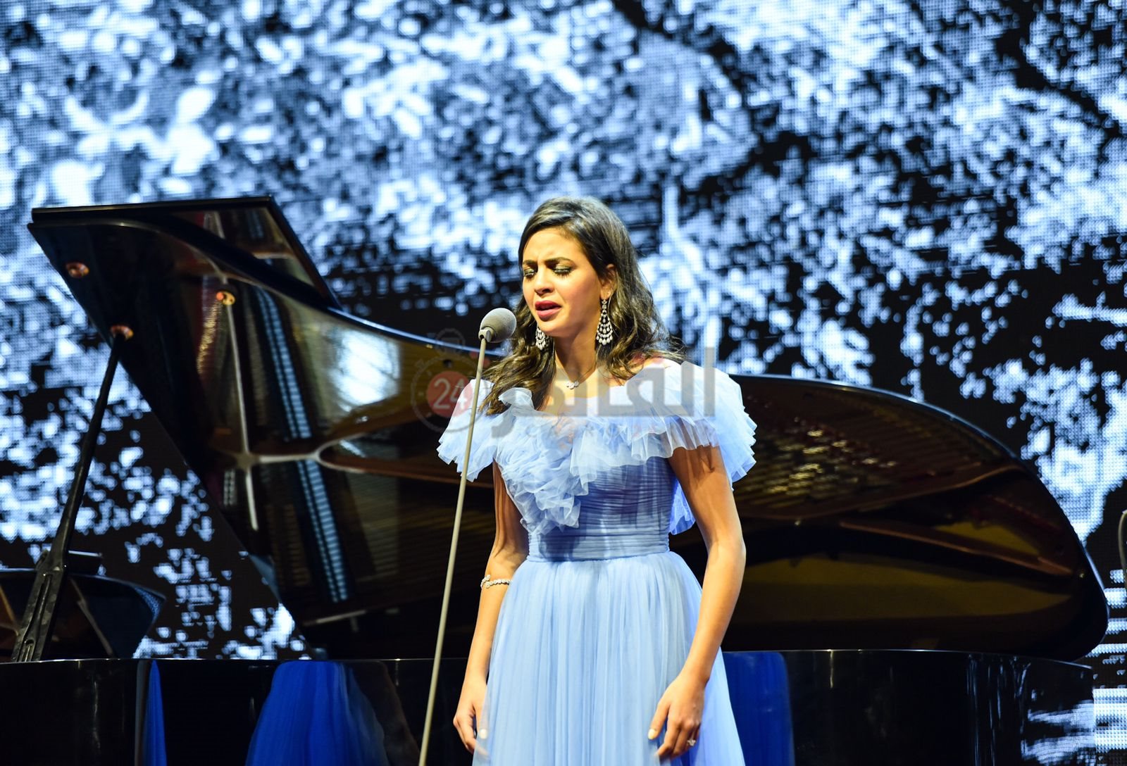 حفل فاطمة السعيد (19)