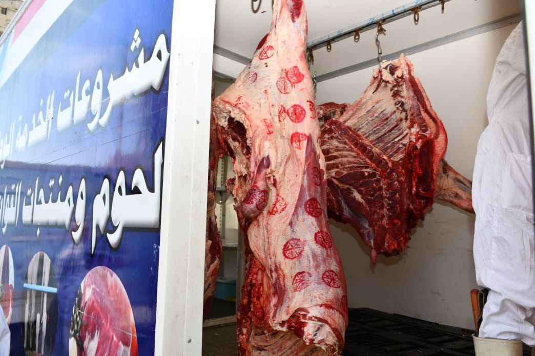 توفير منافذ لبيع اللحوم في الفيوم