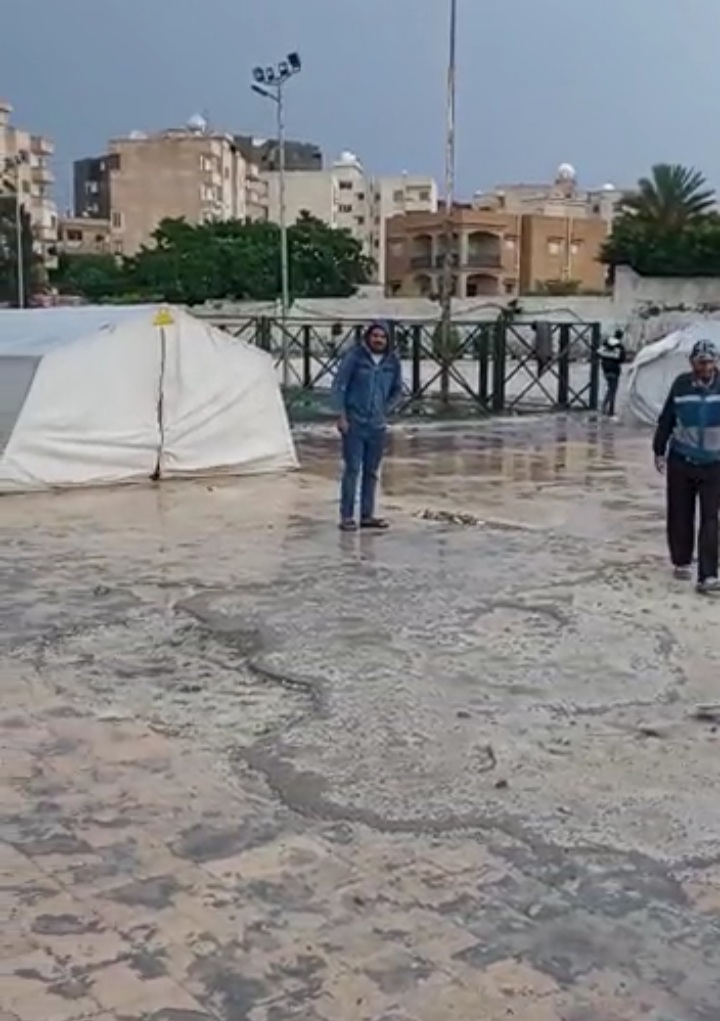 Screenshot_٢٠٢١١١٢٠-١١٤١٠٢_WhatsApp