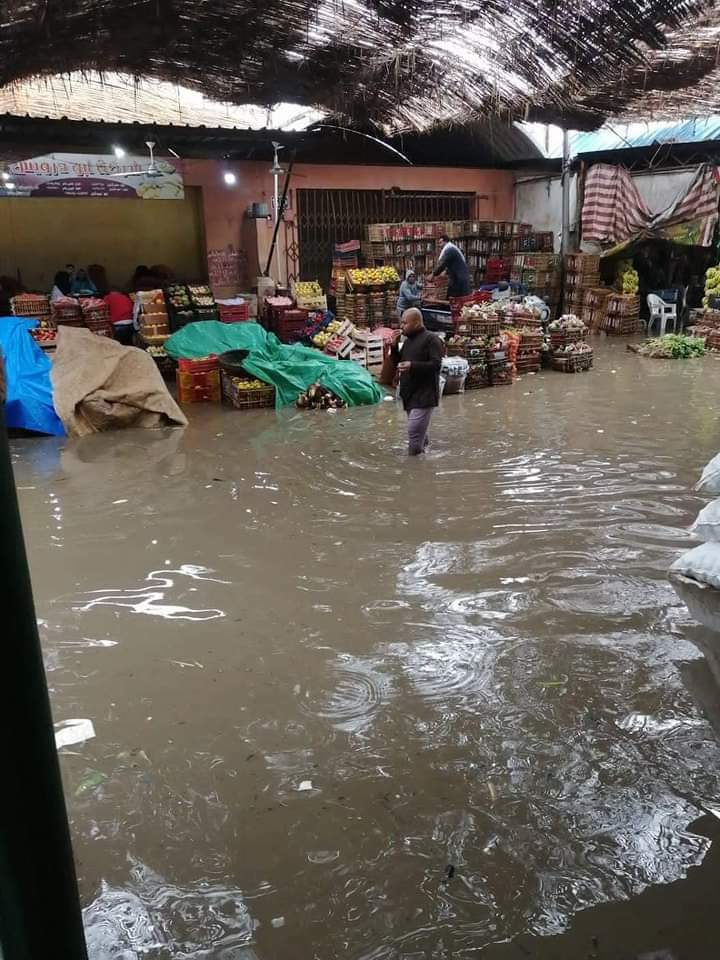 FB_IMG_1637426268508