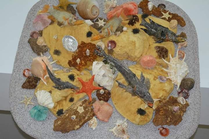 متحف علوم الحيوان بجامعة الأزهر بأسيوط 