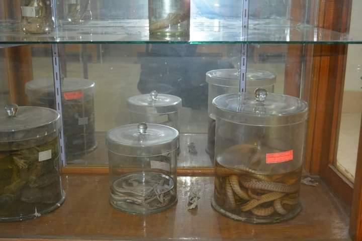 متحف علوم الحيوان بجامعة الأزهر بأسيوط 