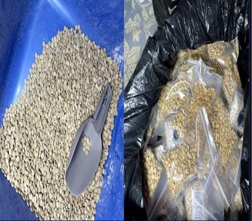 جانب من المضبوطات