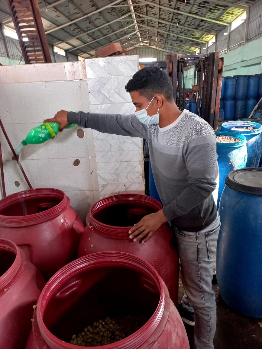 ضبط 20 منشأة تفتقر للاشتراطات الصحية