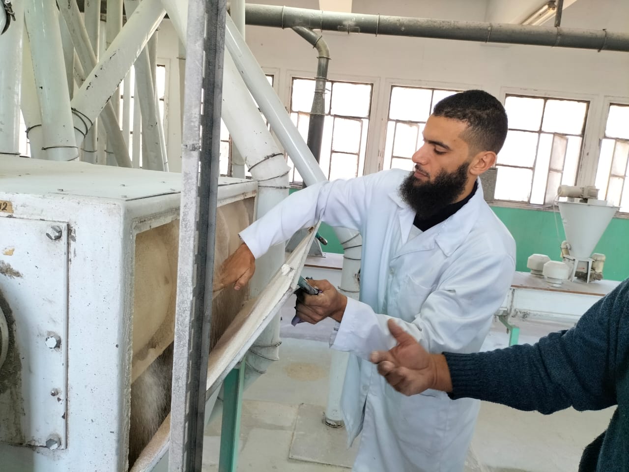 حملات تفقدية على السلع التموينية والغذائية في الإسكندرية 