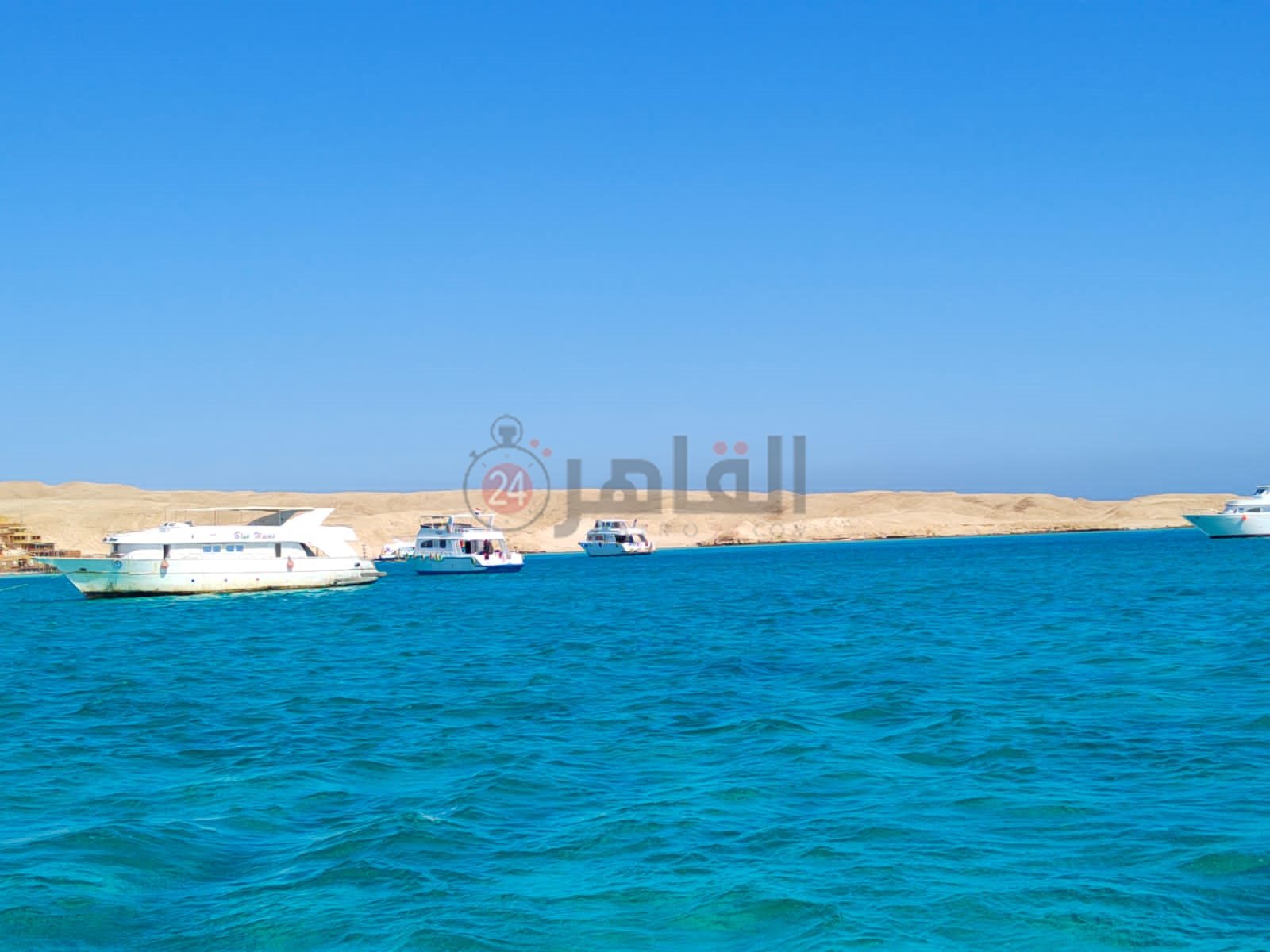 نشاط الرحلات البحرية بمدينة الغردقة 