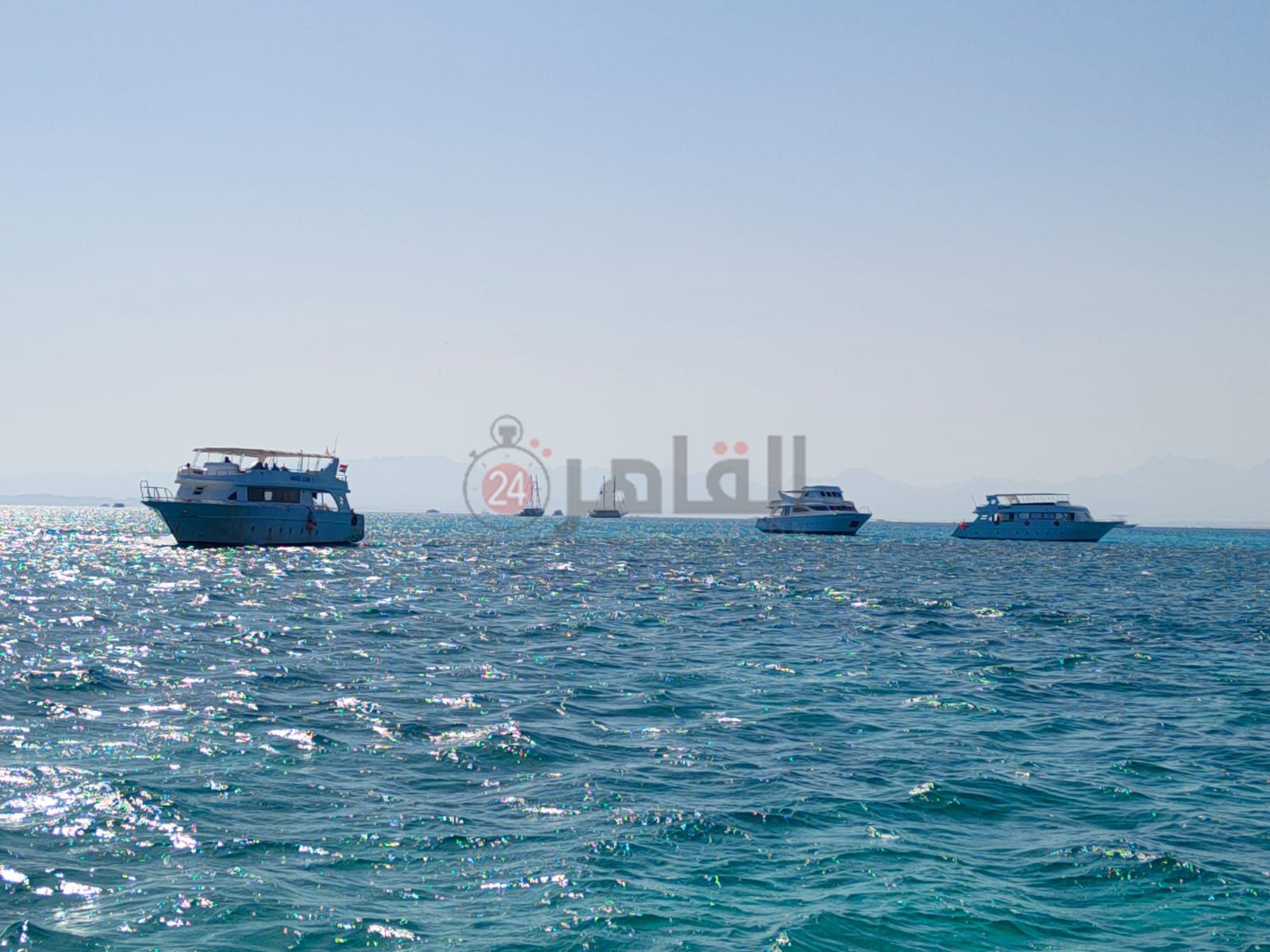 نشاط الرحلات البحرية بمدينة الغردقة