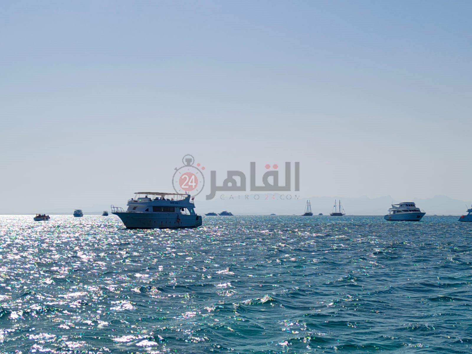 نشاط الرحلات البحرية بمدينة الغردقة