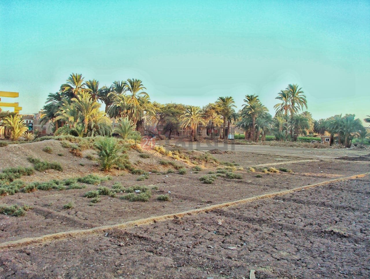  طريق الكباش قديمًا (6)