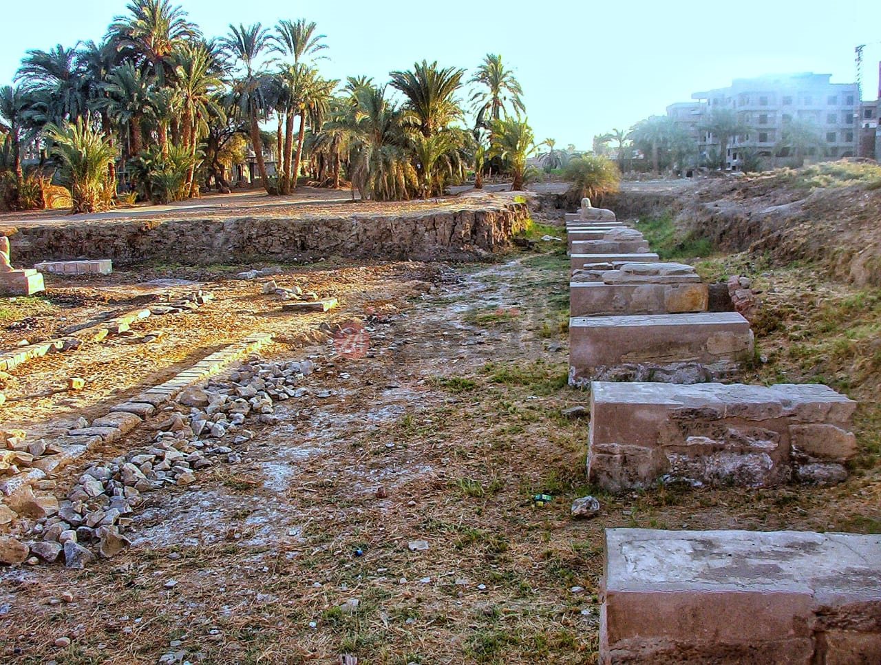  طريق الكباش قديمًا (7)