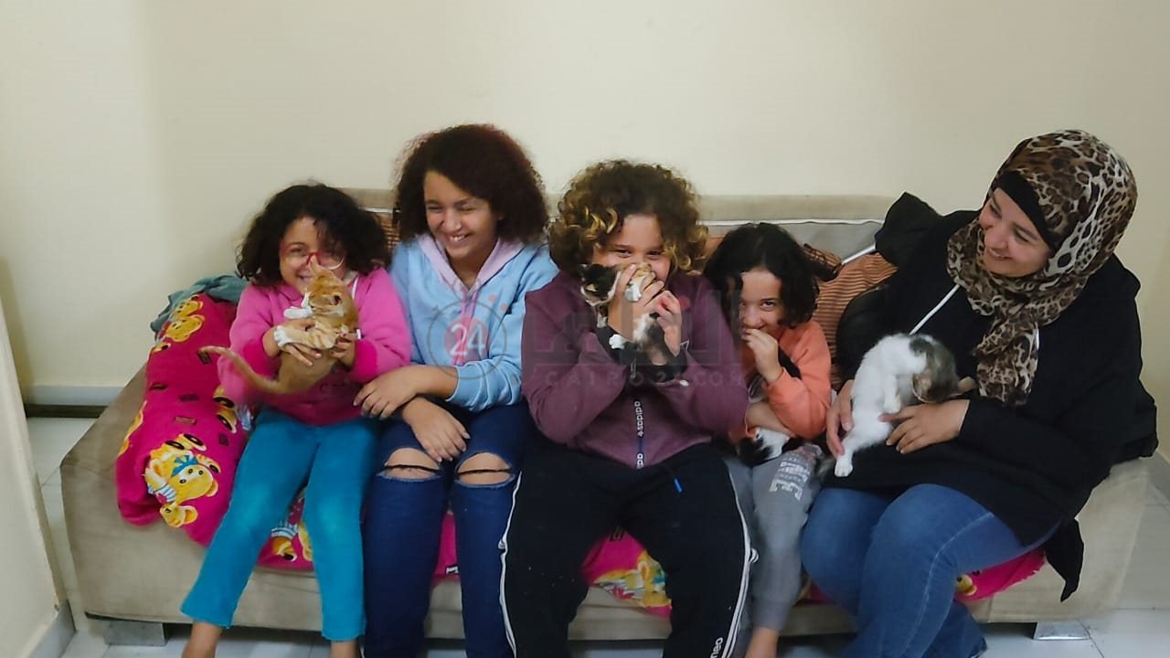 إيمان تجمع القطط الضالة والمصابة بالغردقة 