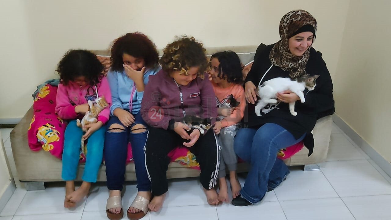 إيمان تجمع القطط الضالة والمصابة بالغردقة 