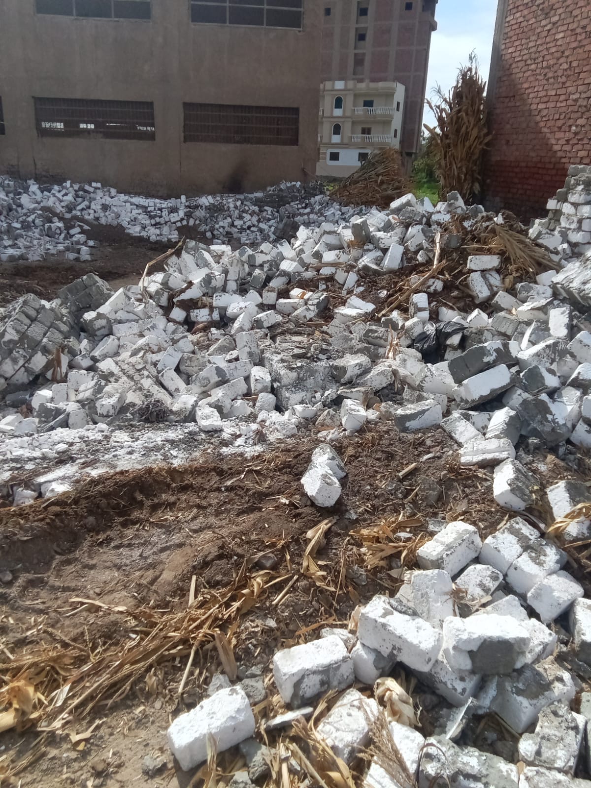 حملات لإزالة التعديات في الفيوم