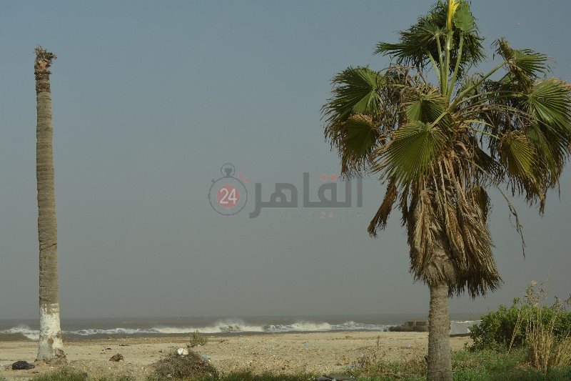 عاصفة رملية تضرب محافظة بورسعيد 12