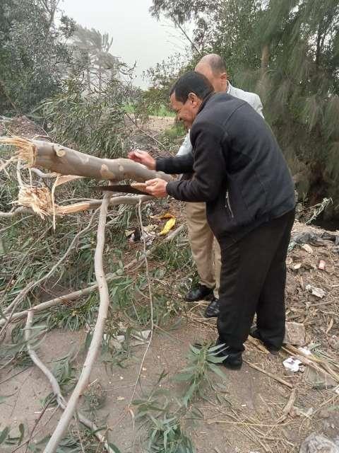 سقوط أعمدة إنارة وأشجار بسبب الطقس السيء في الشرقية 03