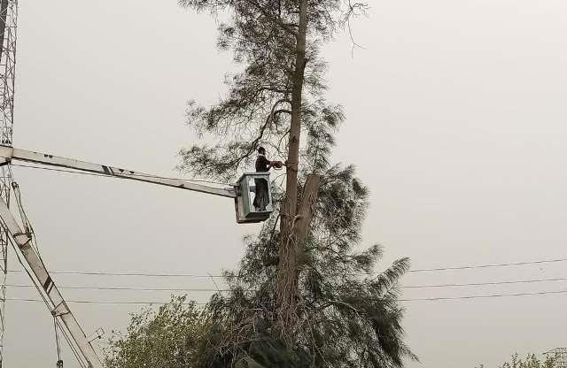 سقوط أعمدة إنارة وأشجار بسبب الطقس السيء في الشرقية 04