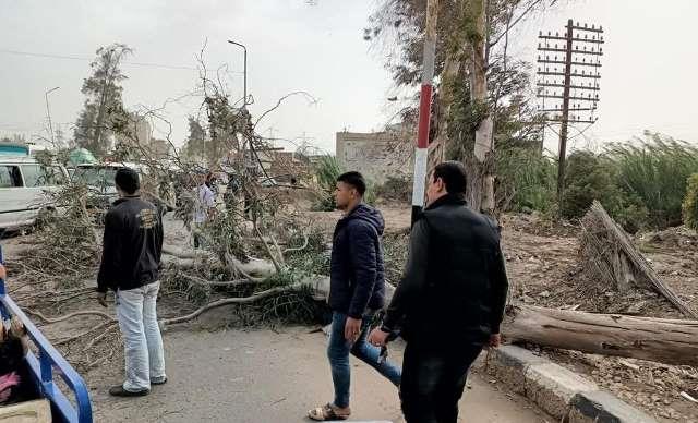 سقوط أعمدة إنارة وأشجار بسبب الطقس السيء في الشرقية 06