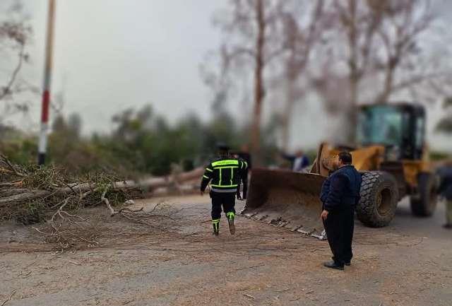 سقوط أعمدة إنارة وأشجار بسبب الطقس السيء في الشرقية 07