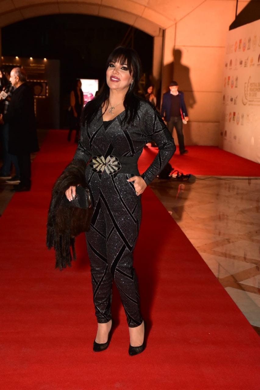 حفل افتتاح الدورة الاولى لمهرجان القاهرة لسينما الفرانكوفونيه (4)