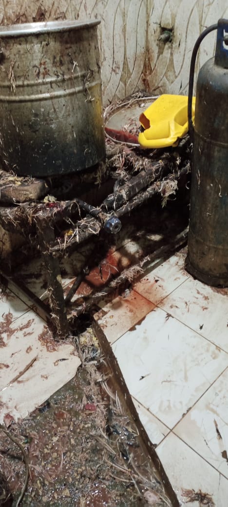 97e7daaf-64d6-4256-a31b-4df3750ccbce