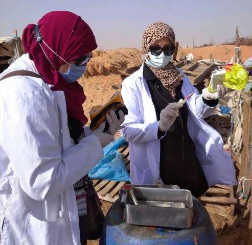 تحصين المواشي بالشرقية 02