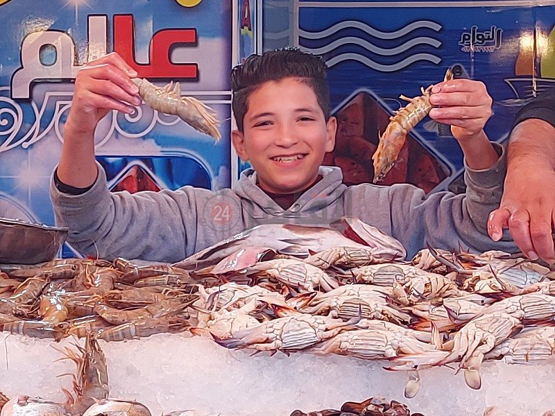 أحمد متبولي 