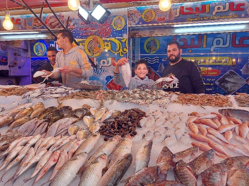طفل يعمل في بيع الأسماك ببورسعيد