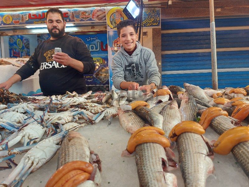 جراح البوري في بورسعيد 