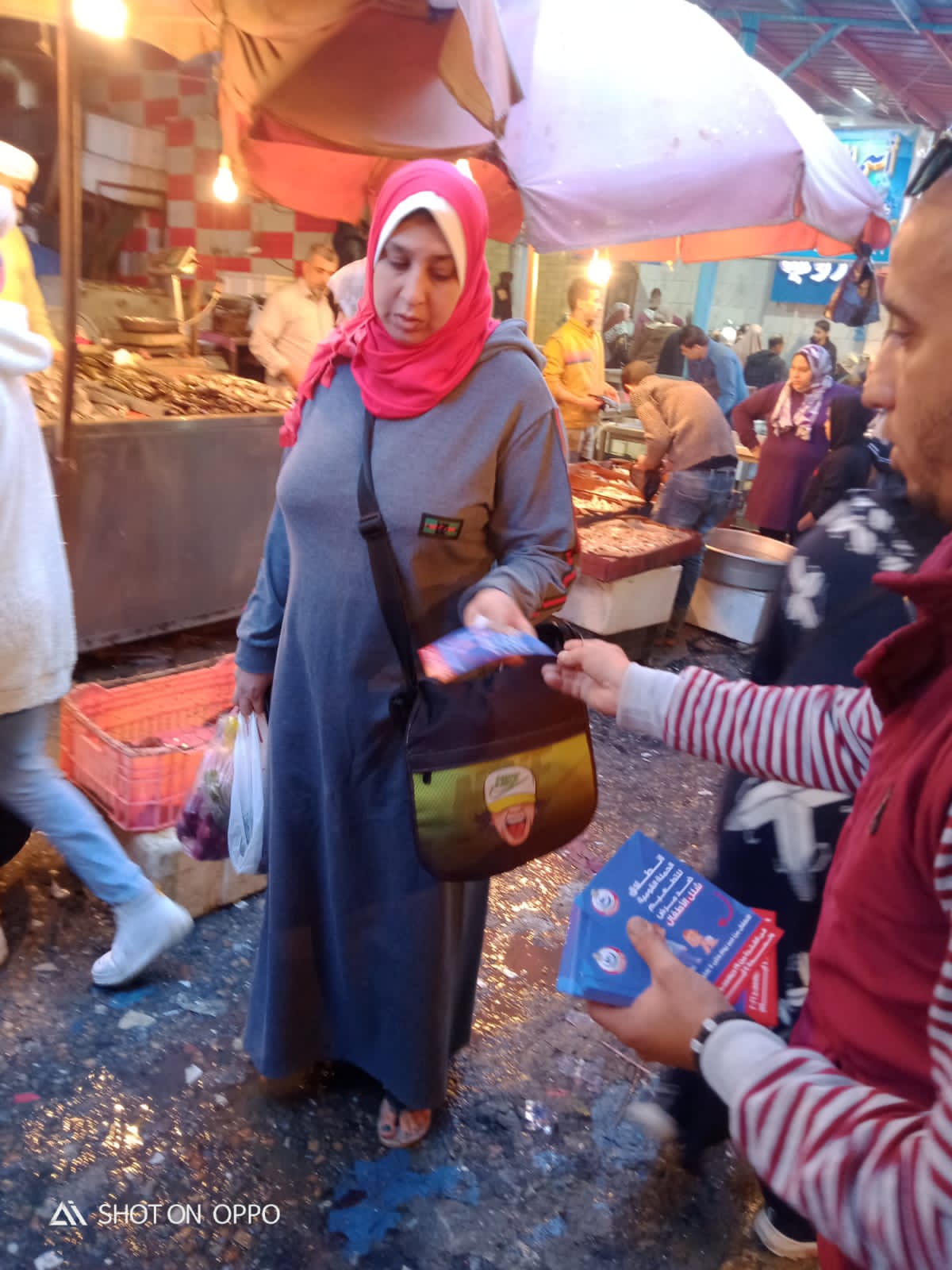 حملات التوعية بمرض شلل الأطفال فى الإسكندرية 