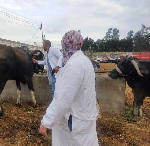 photo_٢٠٢١-١٢-١٩_٠٩-٢٤-٤٥2 حصن