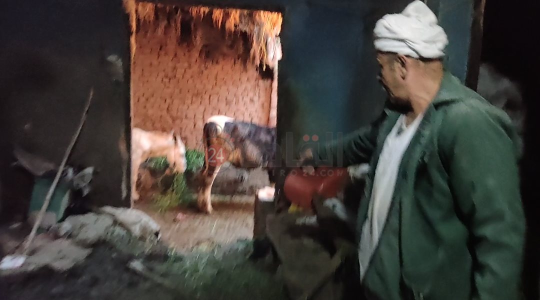 تراكم مياه الصرف الصحي داخل المنازل 02