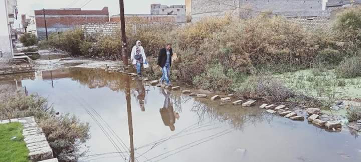 336f15b5-69d1-4fc5-b349-eeb3157bbdc4