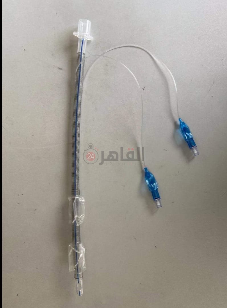 01941191-d275-4d0a-93fe-3b78be1f653f