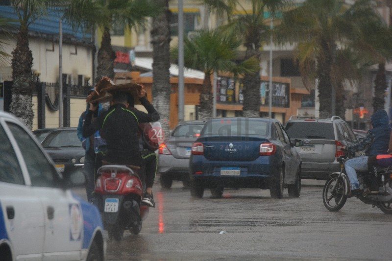 كرتونة للحماية من الأمطار 