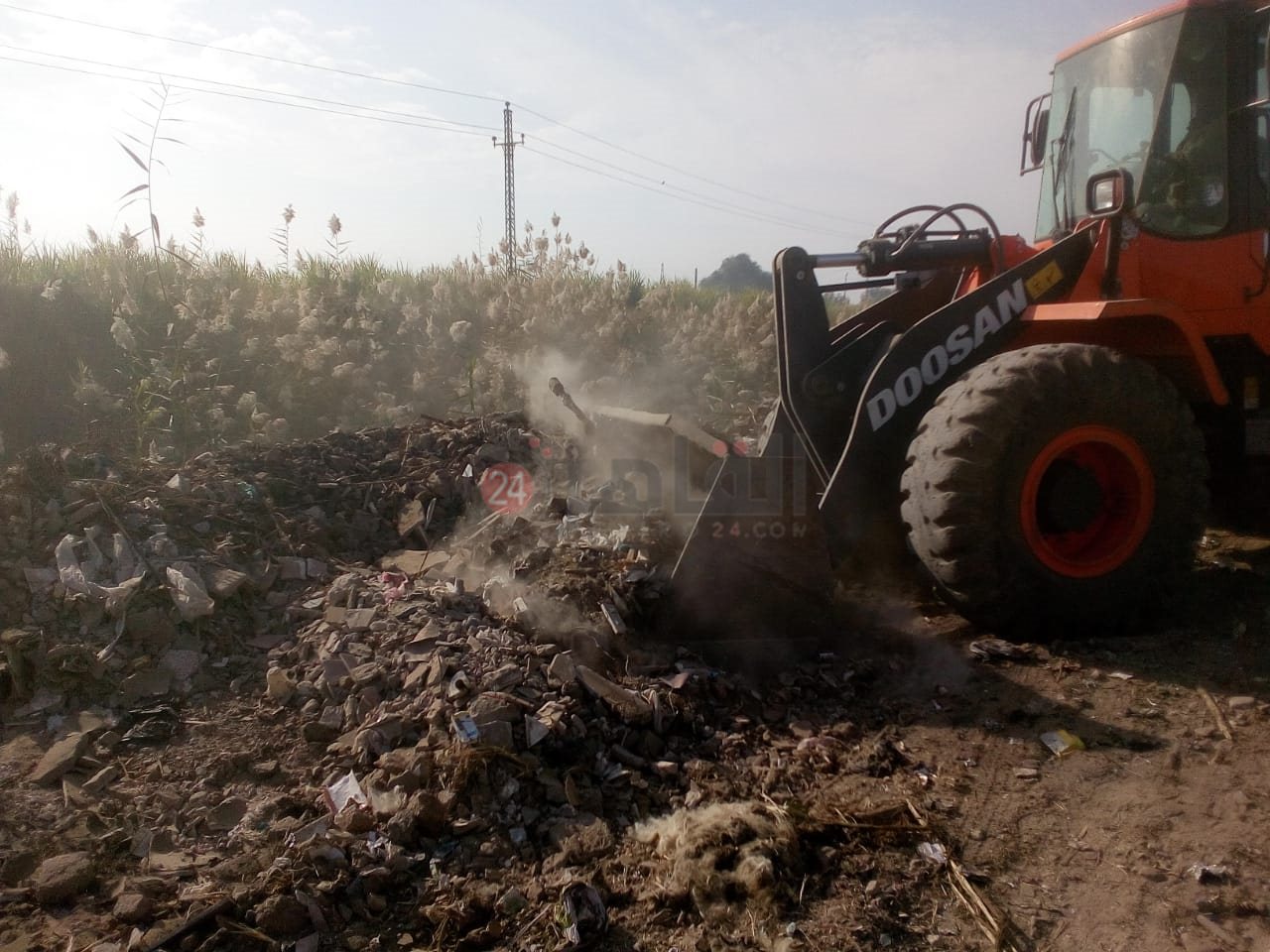 رفع الحيوانات النافقة بمنطقة قطار الديكوفيل بالأقصر