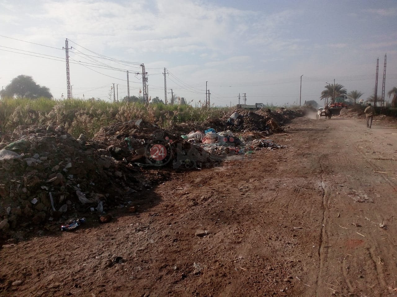 رفع الحيوانات النافقة بمنطقة قطار الديكوفيل بالأقصر