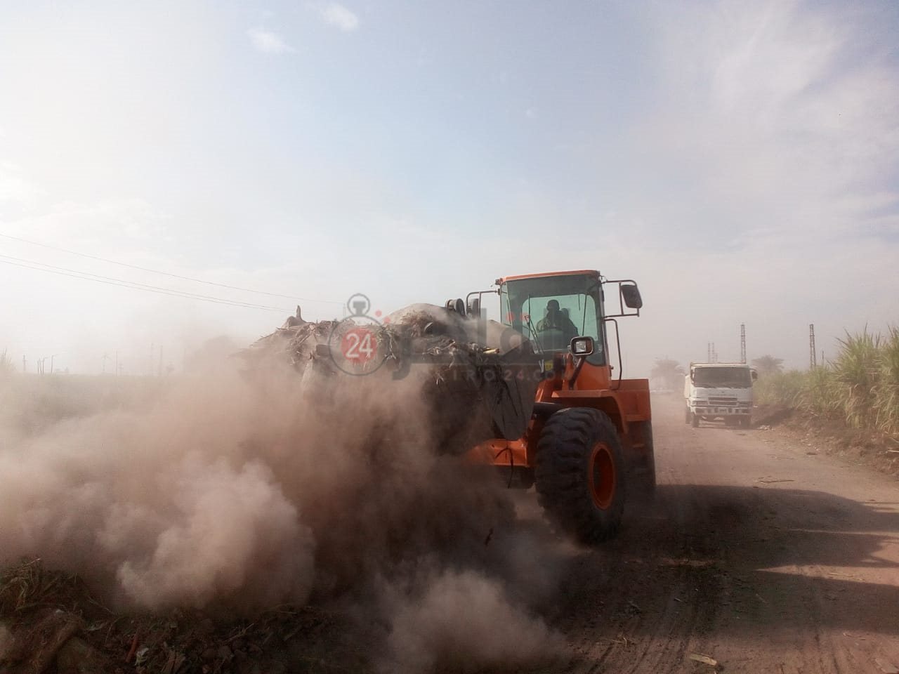 رفع الحيوانات النافقة بمنطقة قطار الديكوفيل بالأقصر