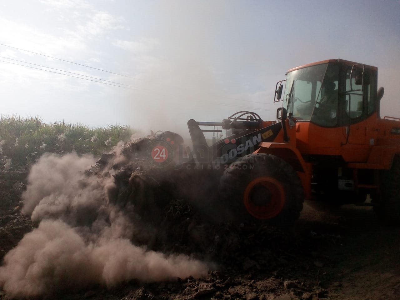 رفع الحيوانات النافقة بمنطقة قطار الديكوفيل بالأقصر